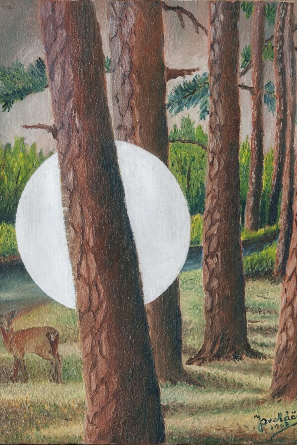 Z cyklu migrant, foto: M. Dvořáková